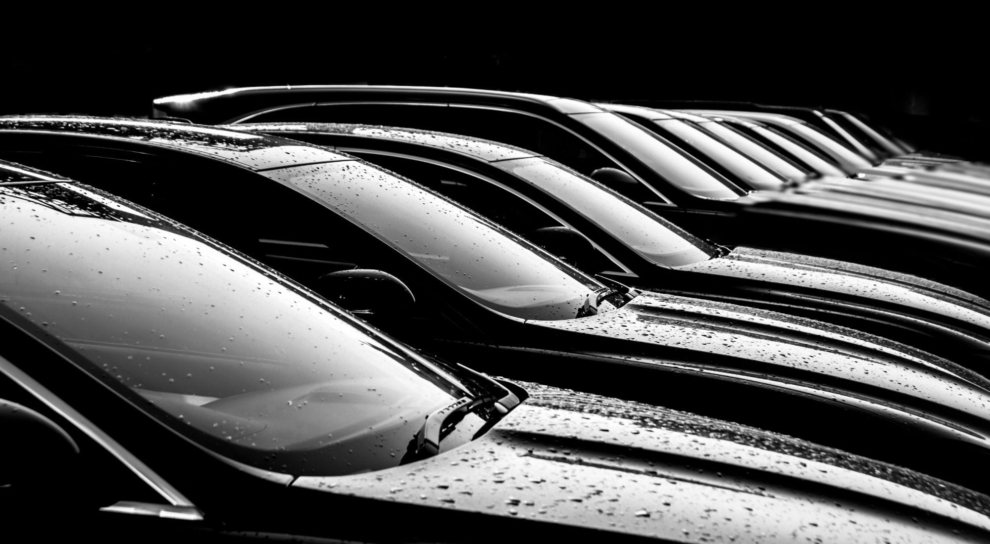 Fahrzeuge stehen nebeneinander aufgereiht.